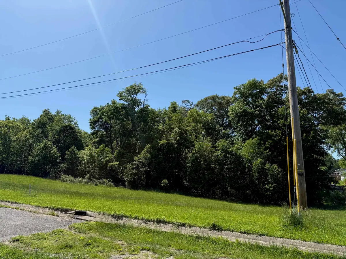 Lot #17 Meadow Glen Road, Flatwoods, KY 41139 - #1