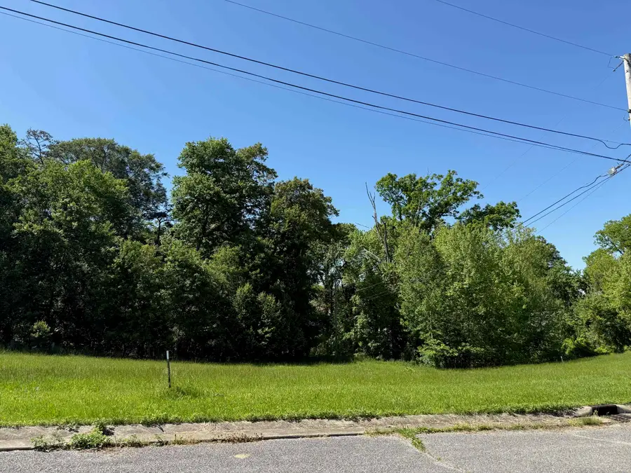 Lot #17 Meadow Glen Road, Flatwoods, KY 41139 - #2