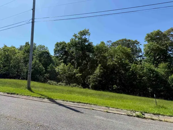 Lot #19 Meadow Glen Road, flatwoods, KY 41139