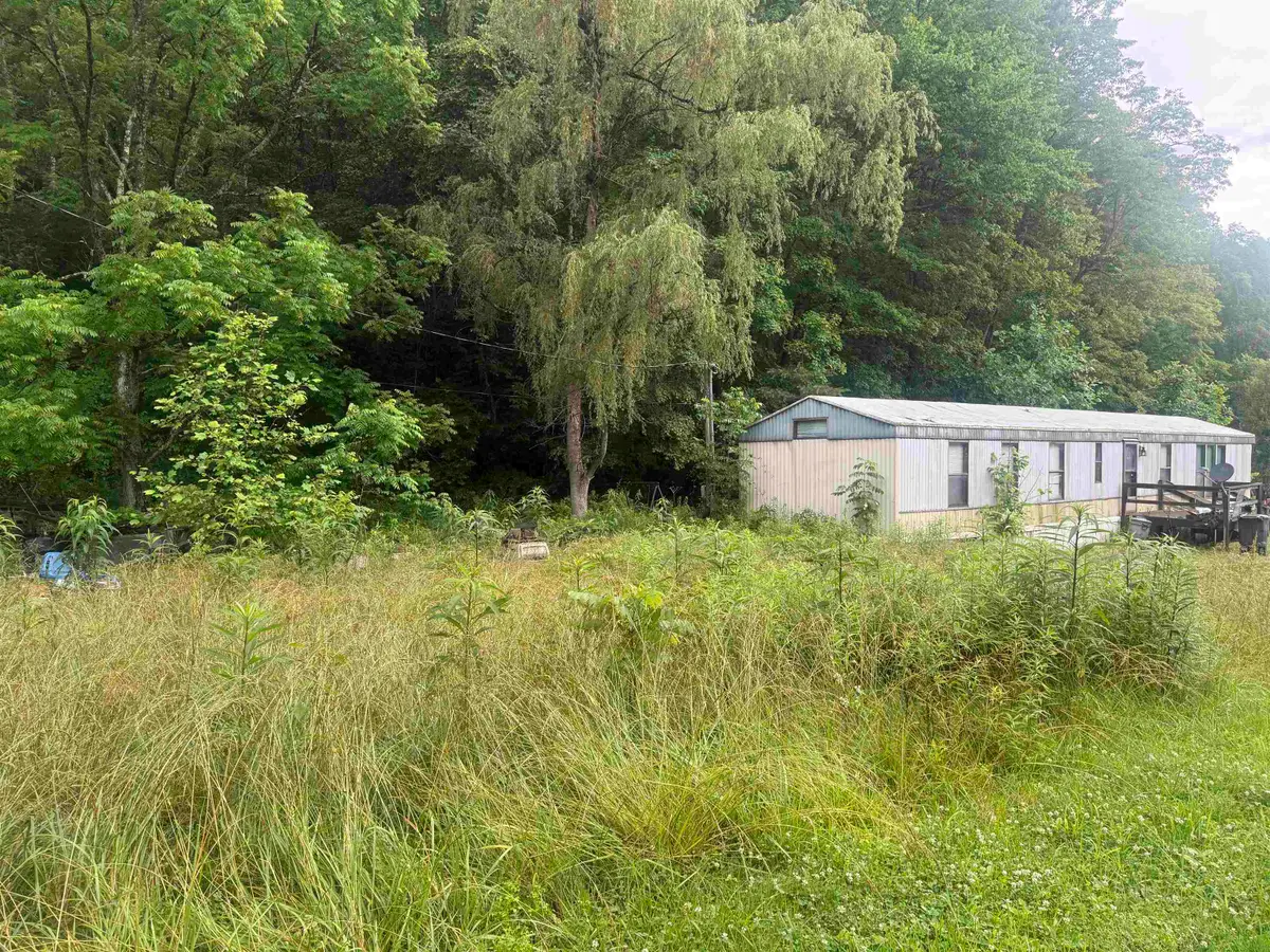 293 Ora Stevens Road, Sandy Hook, KY 41171 - #1