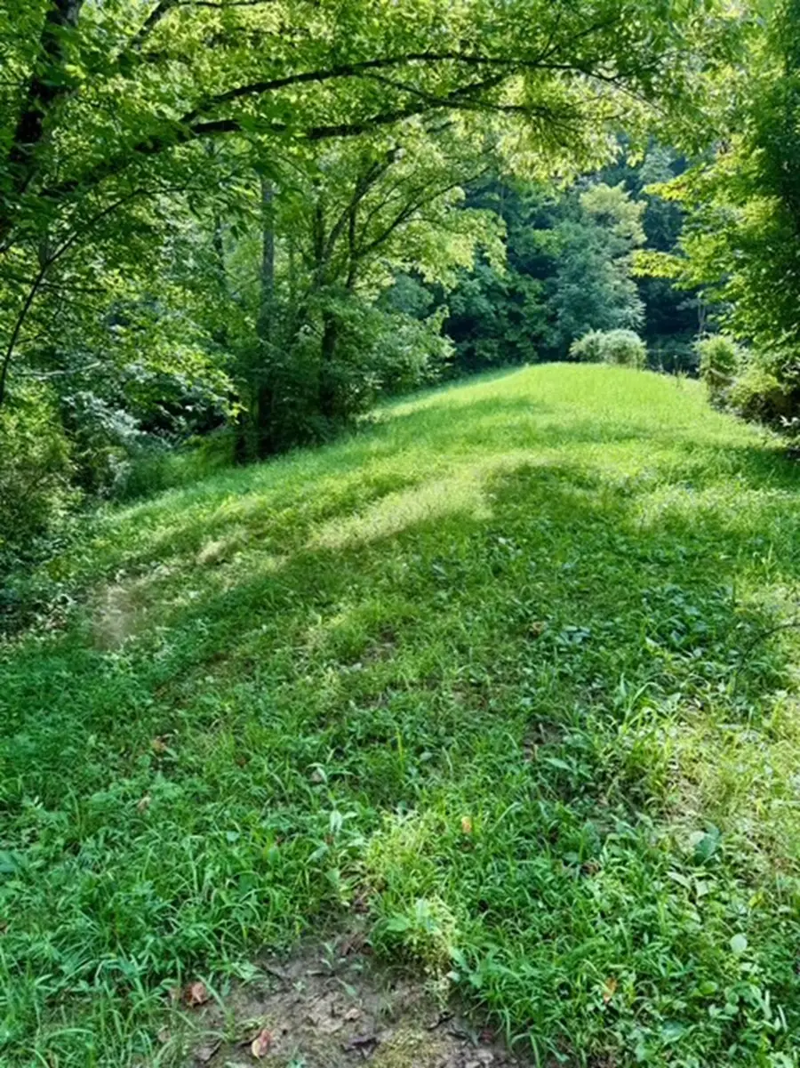 #3
