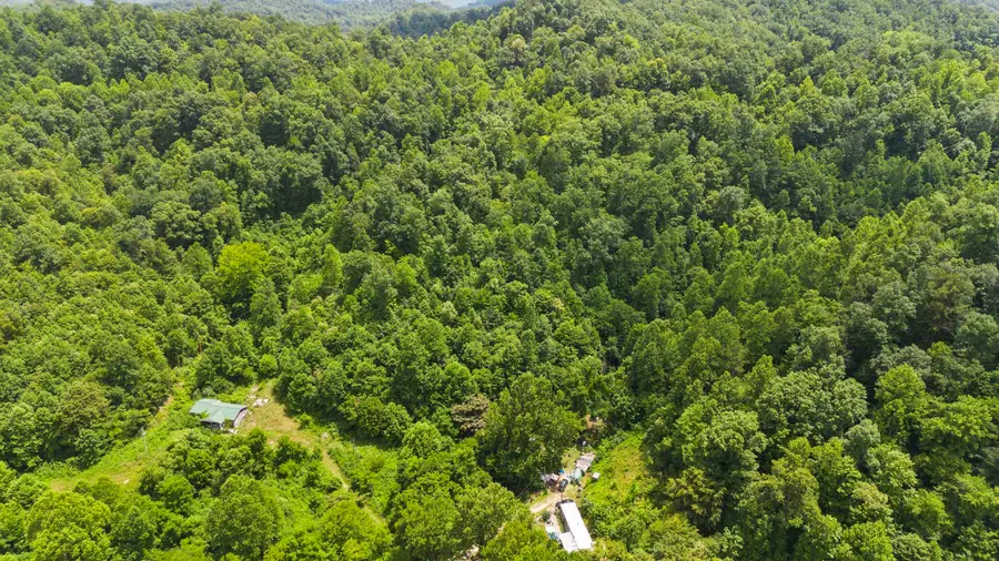 51 Tulip Lane, Louisa, KY 41230 - #3