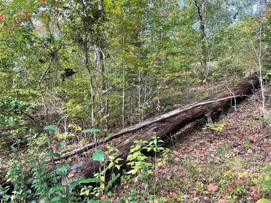 0 Route 1, Webbville, KY 41180 - Image #2