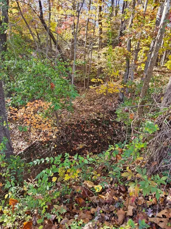 Clara Street, lots 18,26, half of 27, ashland, KY 41102