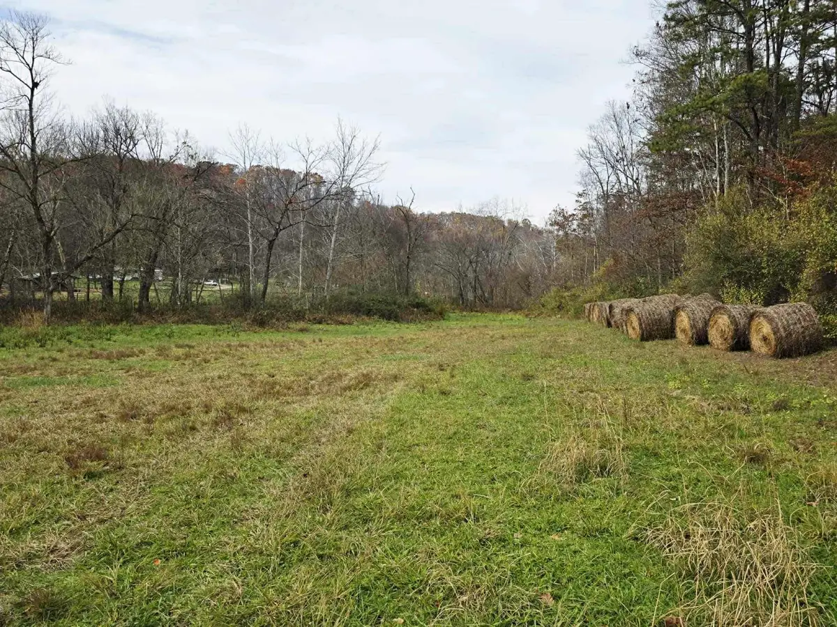 87 Frazer Branch, Argillite, KY 41121 - Image #1