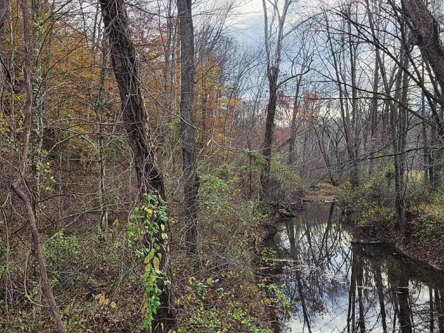 87 Frazer Branch, Argillite, KY 41121 - Image #2