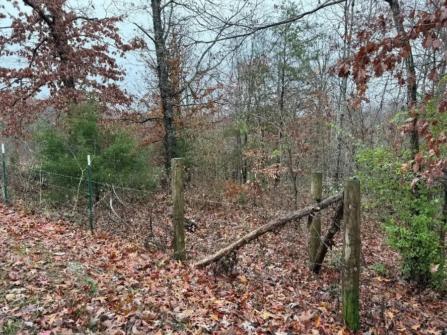 699 Wolfe Rd, Olive Hill, KY 41164 - Image #2