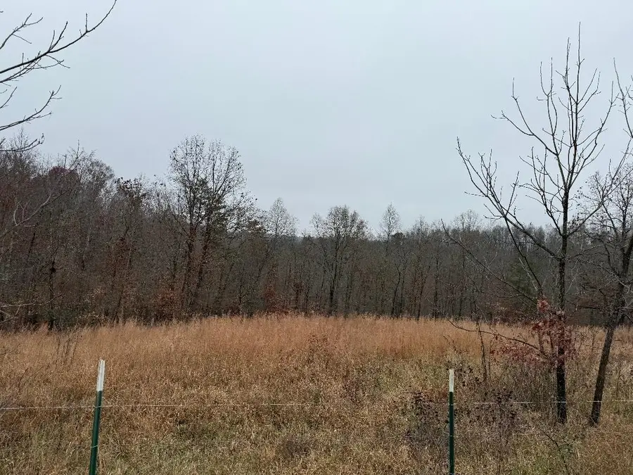 699 Wolfe Rd, Olive Hill, KY 41164 - Image #3