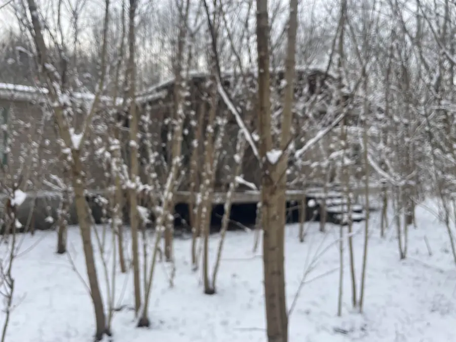 140 Faith Lane, Blaine, KY 41124 - Image #3