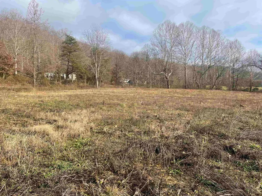 Lots E and F Beechy Creek Road, South Shore, KY 41175 - Image #2