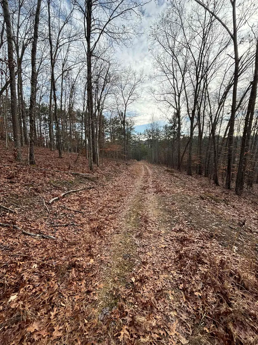 0 Dry Ridge, Louisa, KY 41230 - #3