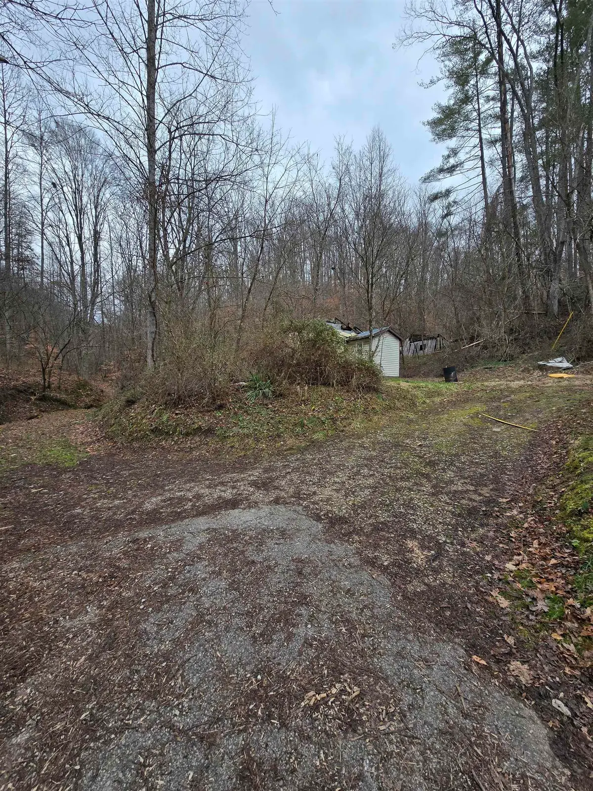 159 Apple Hollow Road, Louisa, KY 41230 - Image #1