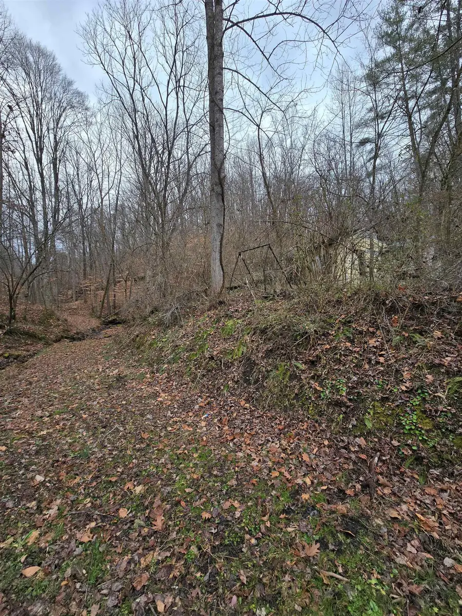 159 Apple Hollow Road, Louisa, KY 41230 - Image #3