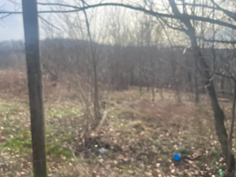 1150 TRUMBO ROAD, Olive Hill, KY 41164 - Image #3