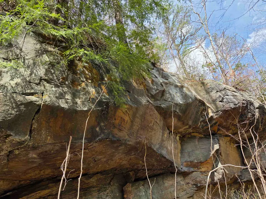 Kiser Fork Rd, Olive Hill, KY 41164 - Image #2