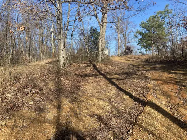 100 Wingo Creek, south shore, KY 41175