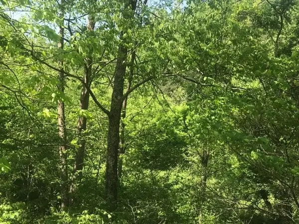 TBD 25 AC Land Aden Road, olive hill, KY 41164