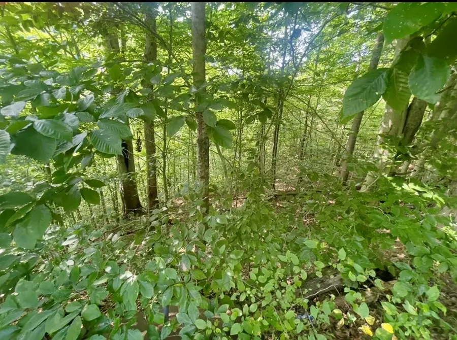 #2