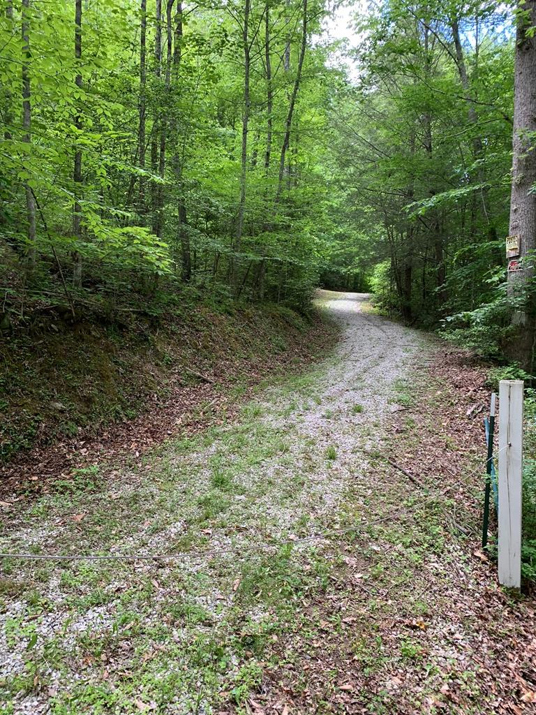 0 Barton Lane #1, Viper, KY 41774 - Image #1