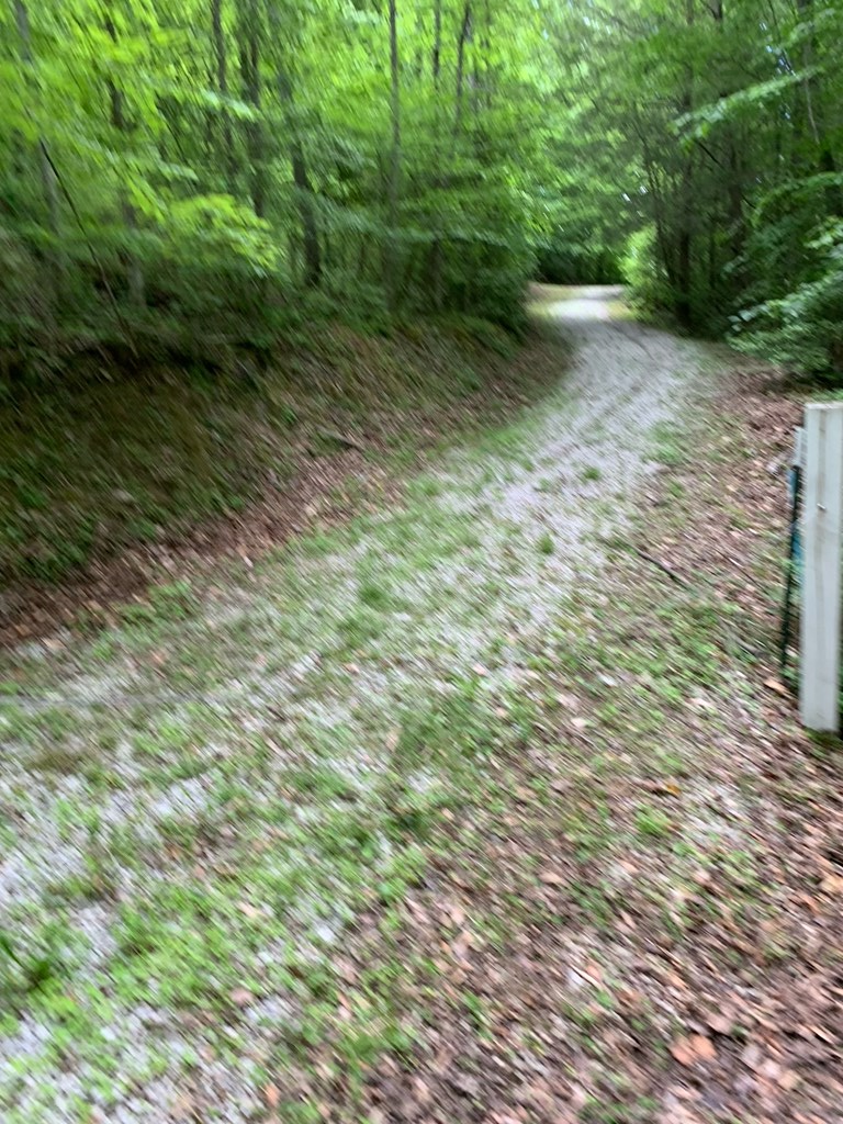 0 Barton Lane #1, Viper, KY 41774 - Image #2