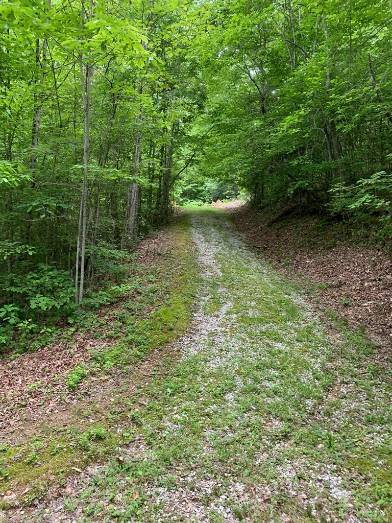 0 Barton Lane #1, Viper, KY 41774 - Image #3