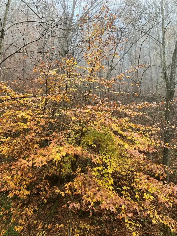 00 Hunter Branch, Garrett, KY 41630