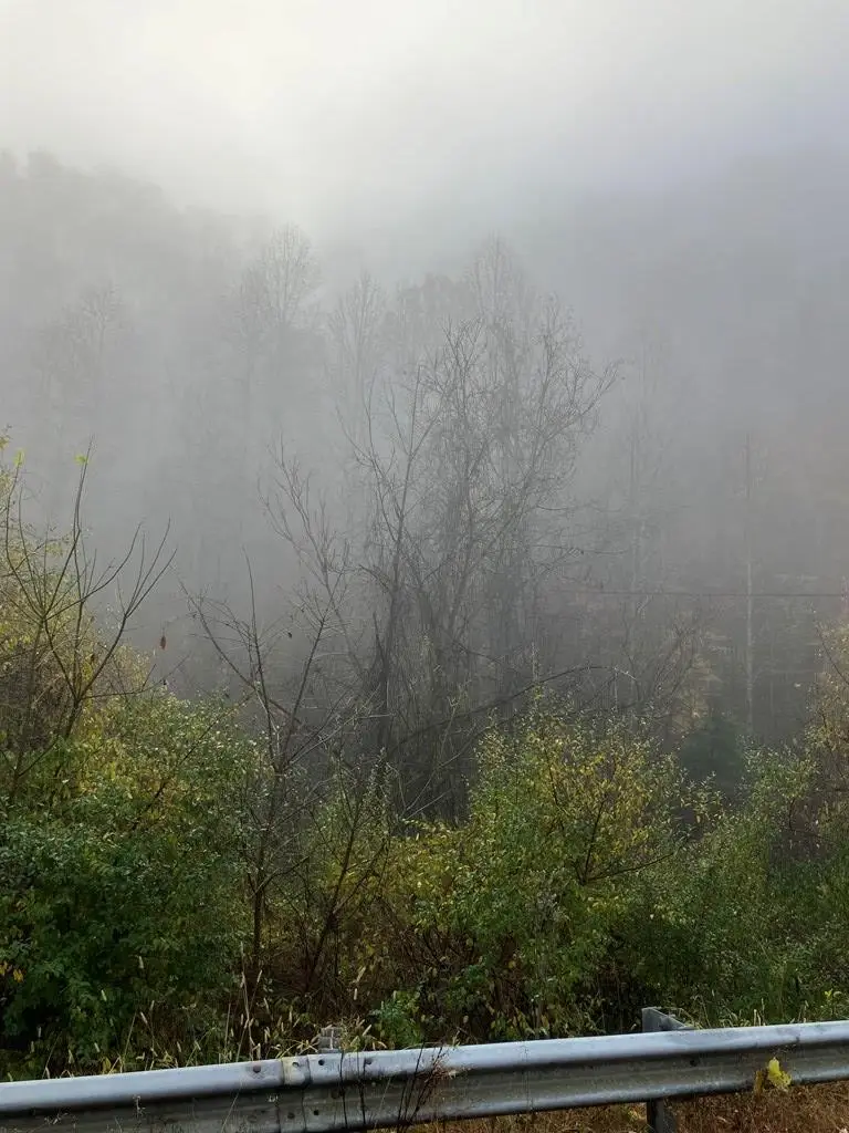 00 Hunter Branch, Garrett, KY 41630 - Image #2