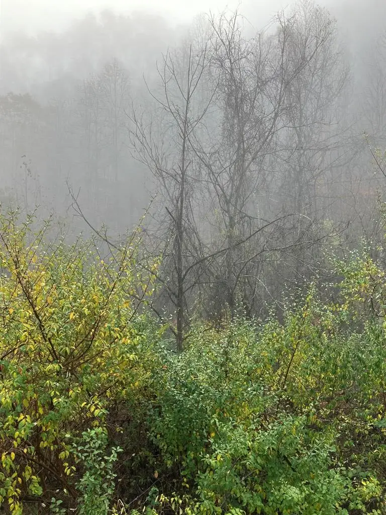 00 Hunter Branch, Garrett, KY 41630 - Image #3