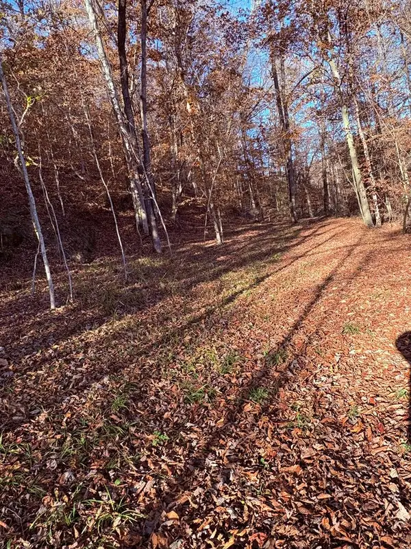 0 Jennys Creek, Hager Hill, KY 41222