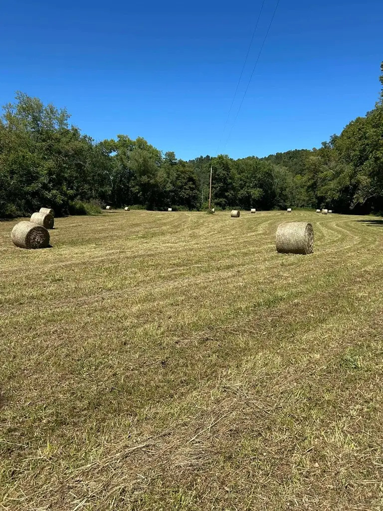 963 Pricey Creek Road, Salyersville, KY 41465 - Image #2