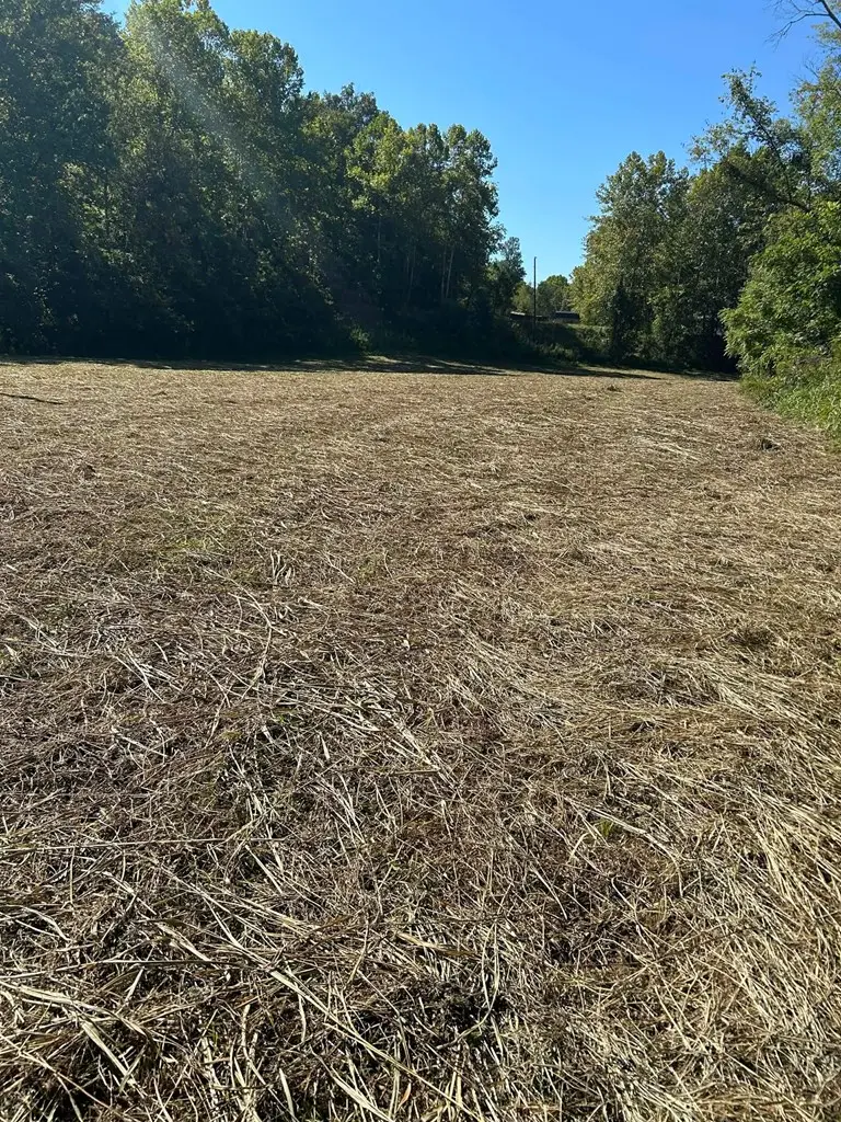 963 Pricey Creek Road, Salyersville, KY 41465 - Image #3