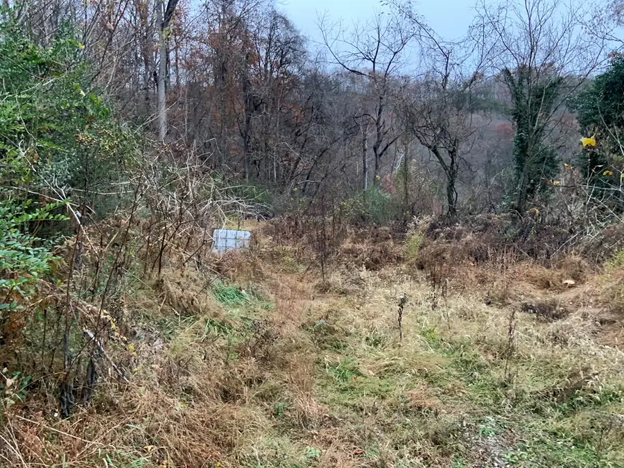 209 Highland Ave., Paintsville, KY 41240 - Image #2