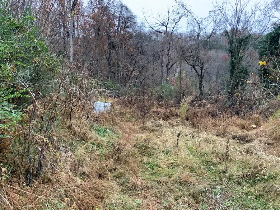 209 Highland Ave., Paintsville, KY 41240 - Image #3