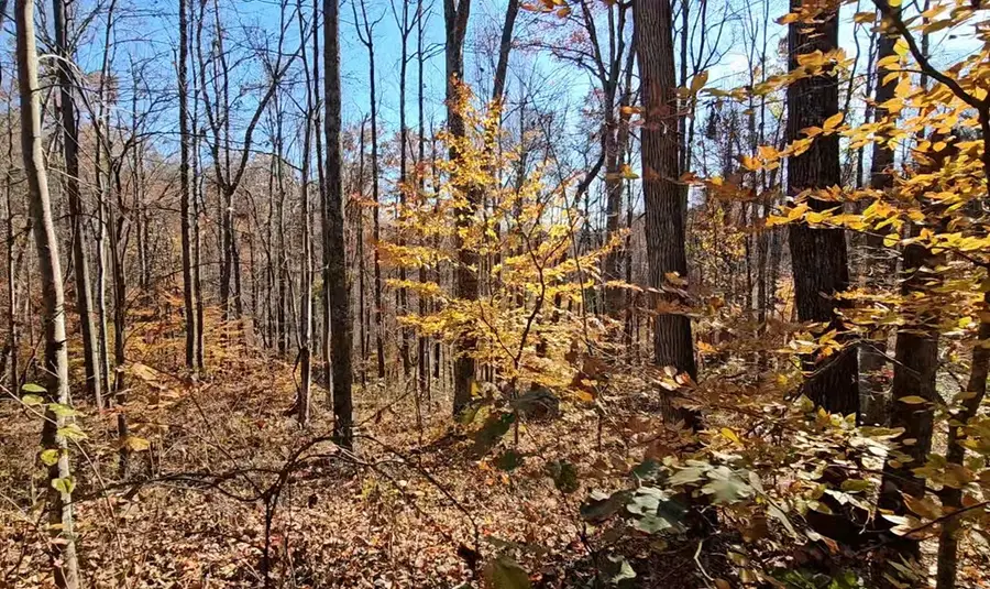 0000 Spankem Branch Rd, Louisa, KY 41230 - Image #3