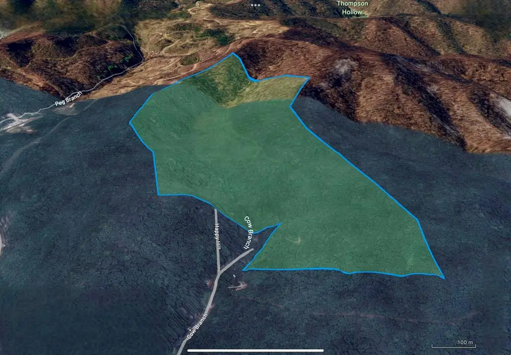 0 Cow Branch, Belfry, KY 41514 - Image #1