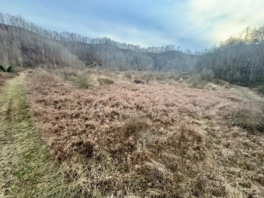 0 Cow Branch, Belfry, KY 41514 - Image #2