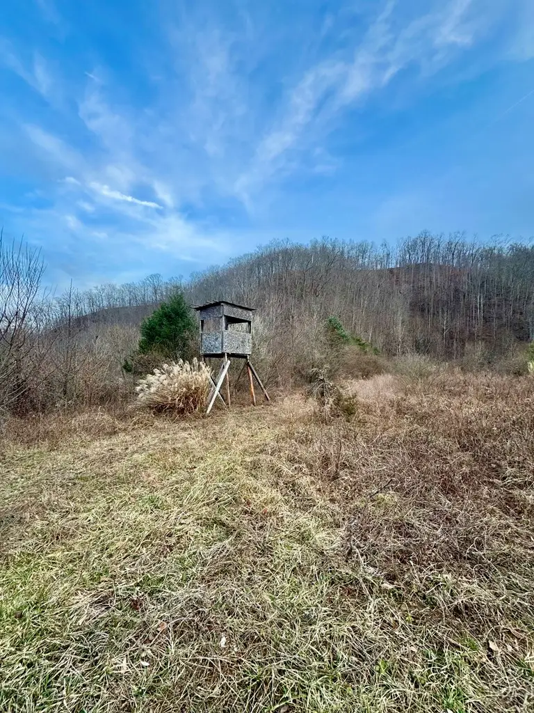 0 Cow Branch, Belfry, KY 41514 - Image #3