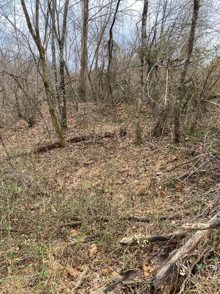 0 (d203 Pg645) New Rt 3, Debord, KY 41214 - Image #3