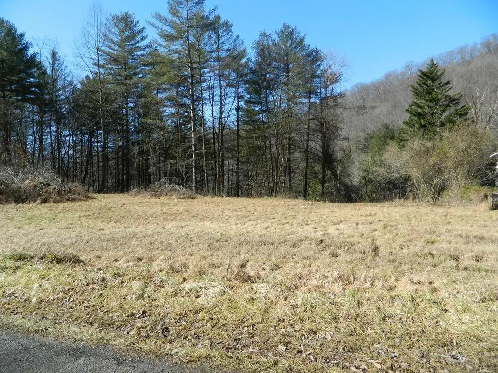 509 Left Fork Of Upper Chloe, Pikeville, KY 41502 - Image #1