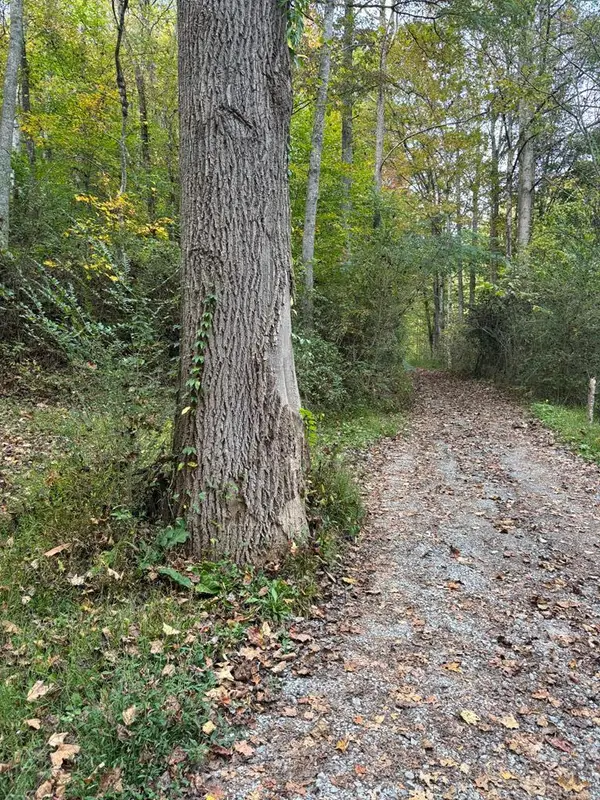 0 Hammonds Hollow, Whitesburg, KY 41858