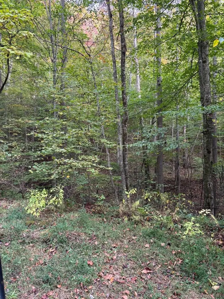 0 Hammonds Hollow, Whitesburg, KY 41858 - Image #2