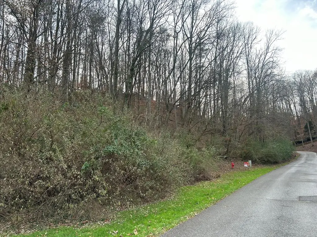 Lot 2 Poplar Grove, Pikeville, KY 41501 - Image #1