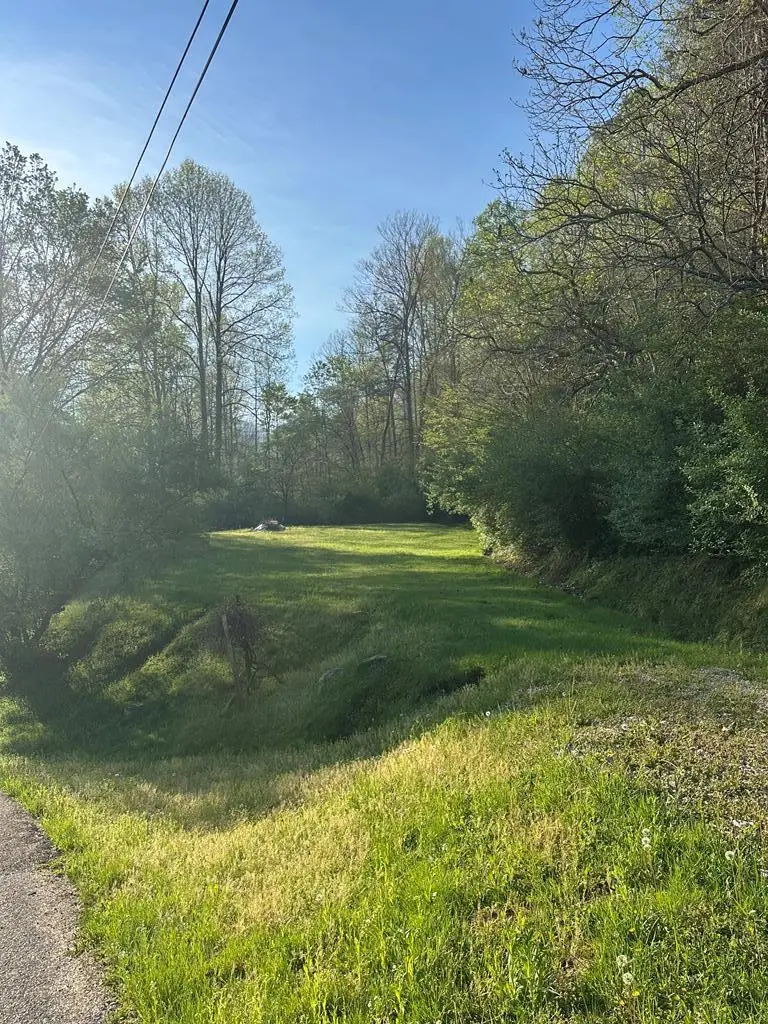 00 Jett Dr, Gays Creek, KY 41745 - #1