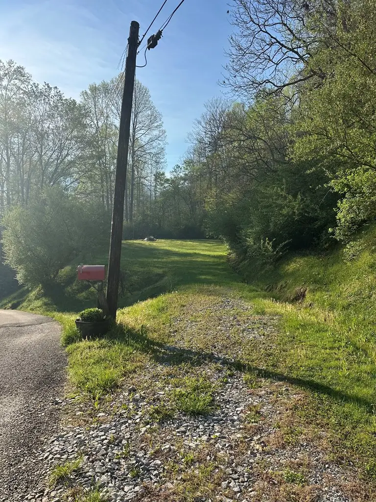 00 Jett Dr, Gays Creek, KY 41745 - #2