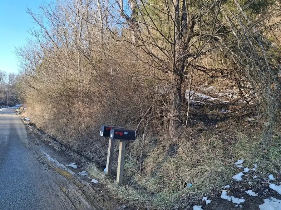 00 Salyers Hill (db: 494 Dp: 028), Wittensville, KY 41274 - #2