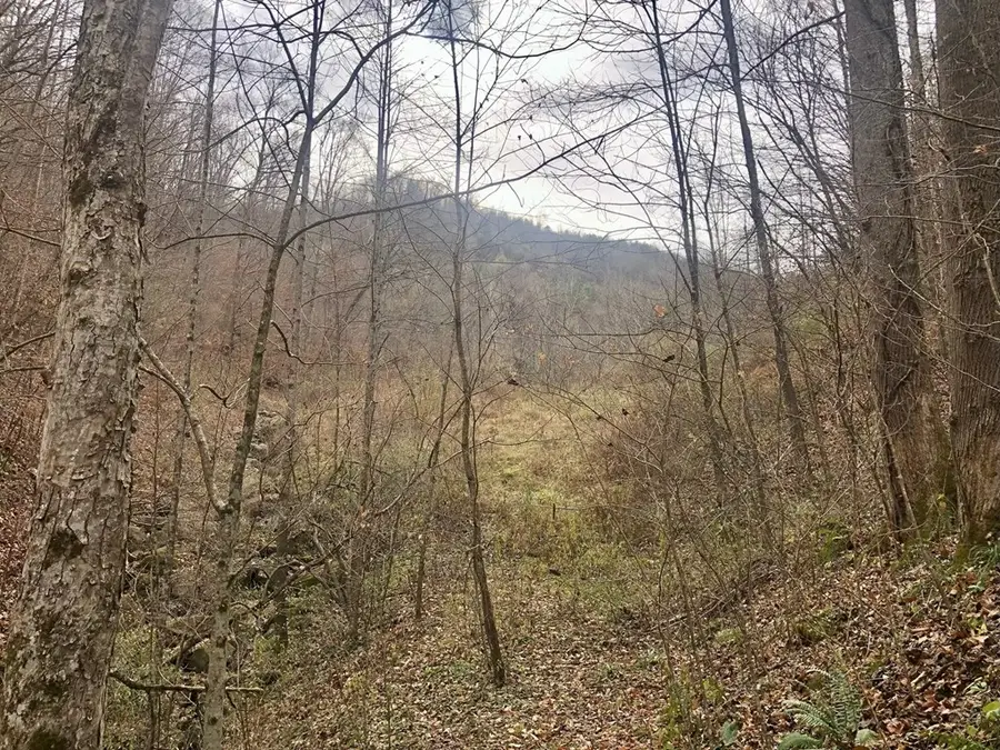 0 Loves Branch, Whitesburg, KY 41858 - #2