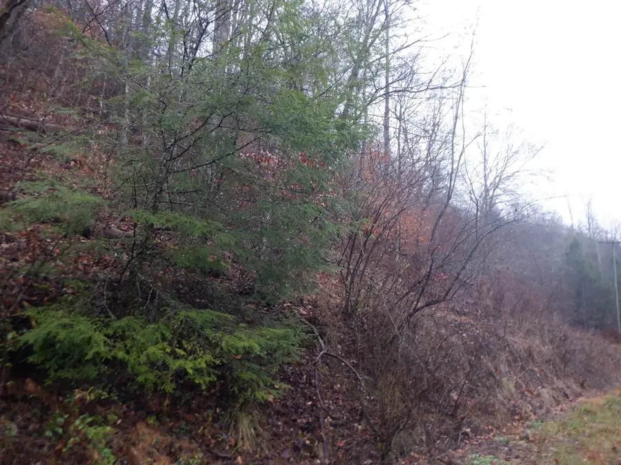 0 Love Branch, Whitesburg, KY 41858 - #3