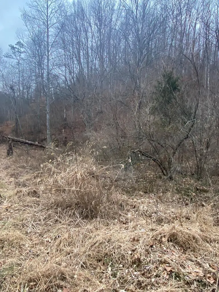 0 Cow Creek (map 015-00-00-027), Salyersville, KY 41465 - #2