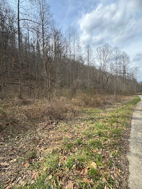 00 Henry's Branch, Langley, KY 41645