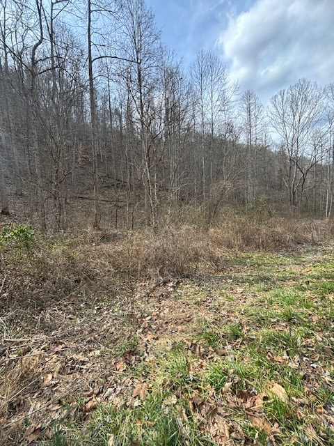 00 Henry's Branch, Langley, KY 41645 - #2